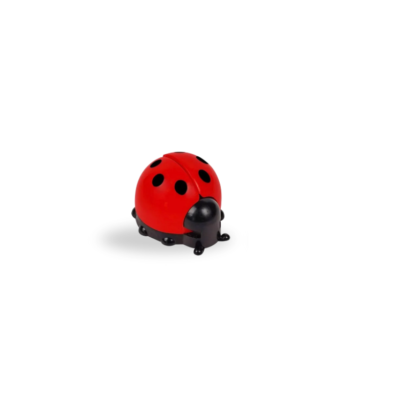 Le Rituel de la Coccinelle