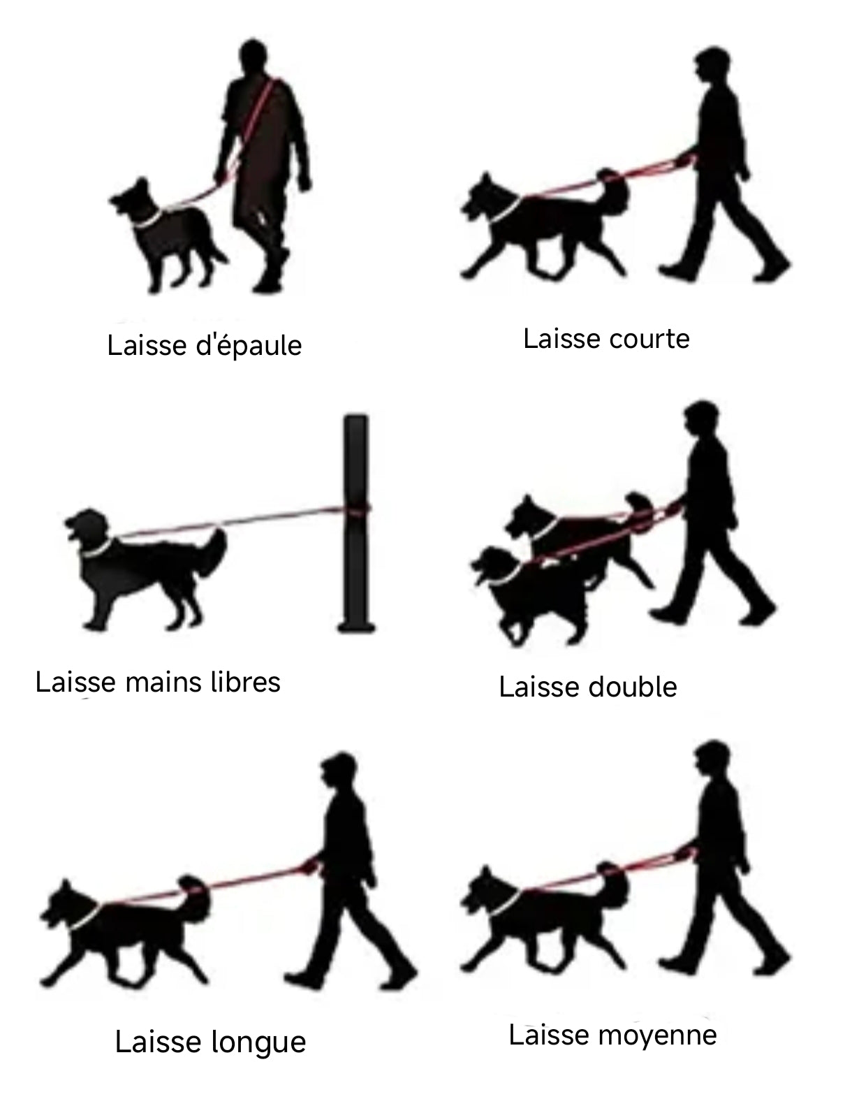 La Laisse Multi-Position Élite