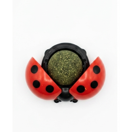 Le Rituel de la Coccinelle