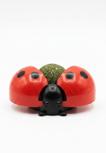 Le Rituel de la Coccinelle